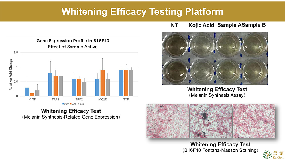 Whitening Platform